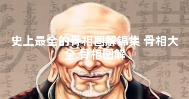 史上最全的骨相图解锦集 骨相大全 骨相图解